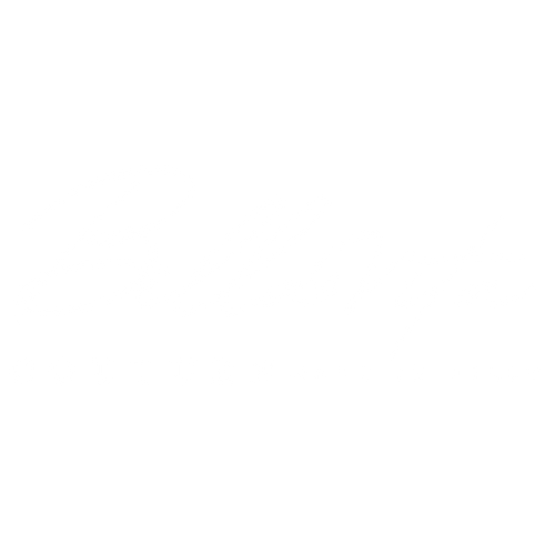 BELLAVITA COUTURE